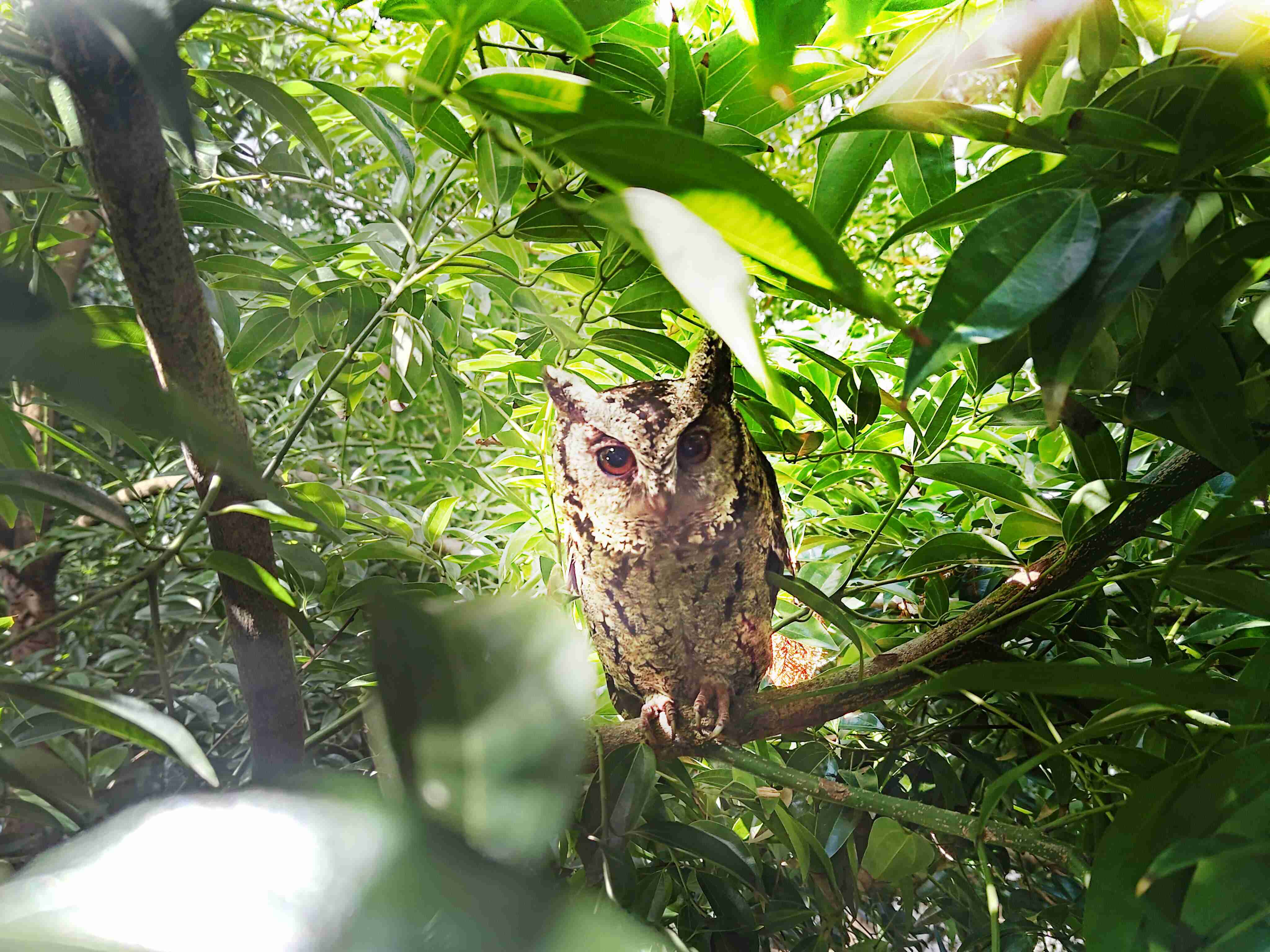 尊时凯龙致力提倡净零绿生活，，16年以来在全球各厂区植树逾百万棵，，，造就各厂区树木蔚然成林，，，，犹如森林工厂，，成为许多生物的栖息地